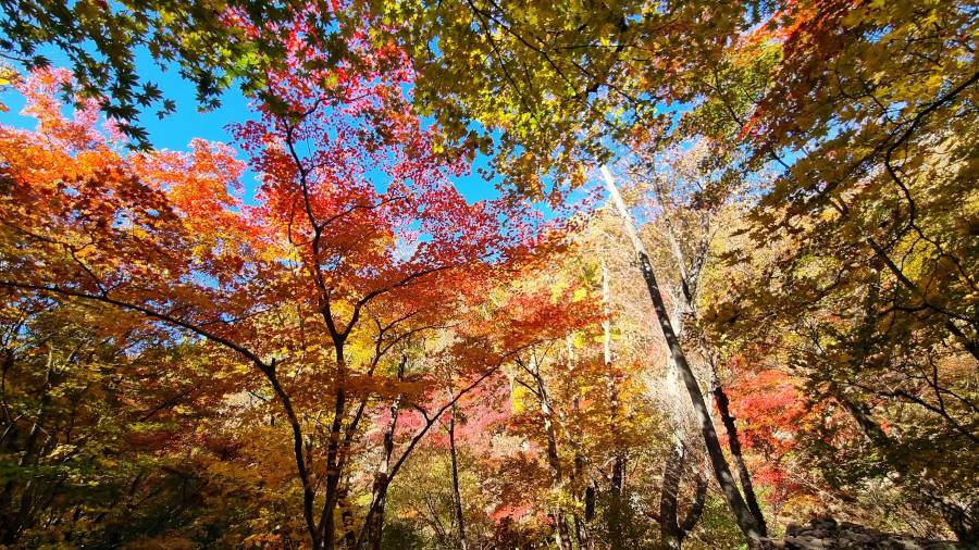 Seoul_Bukhansan_National_Park_3