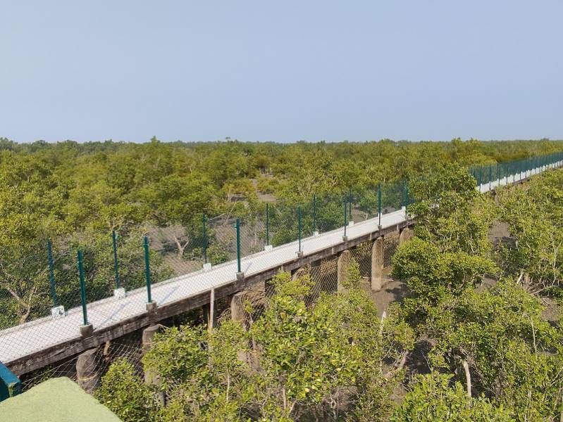 Sunderbans_Kanak_Island_8