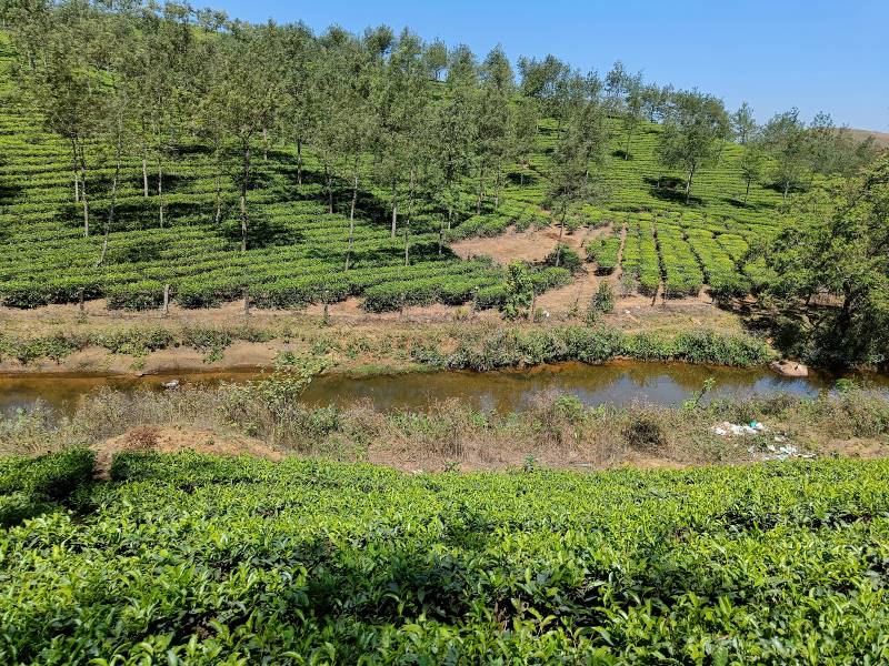 Vagamon_Mundakayam_Ghat_3