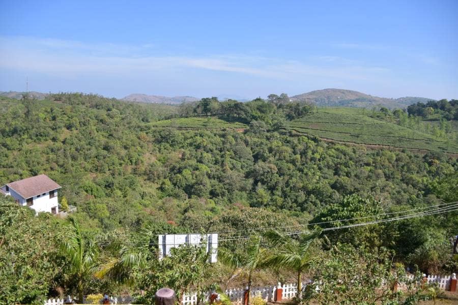 Vagamon_Mundakayam_Ghat_6