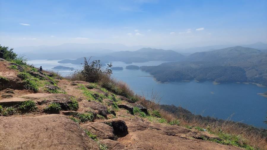Vagamon_Ulipooni_Wildlife_Sanctuary_1