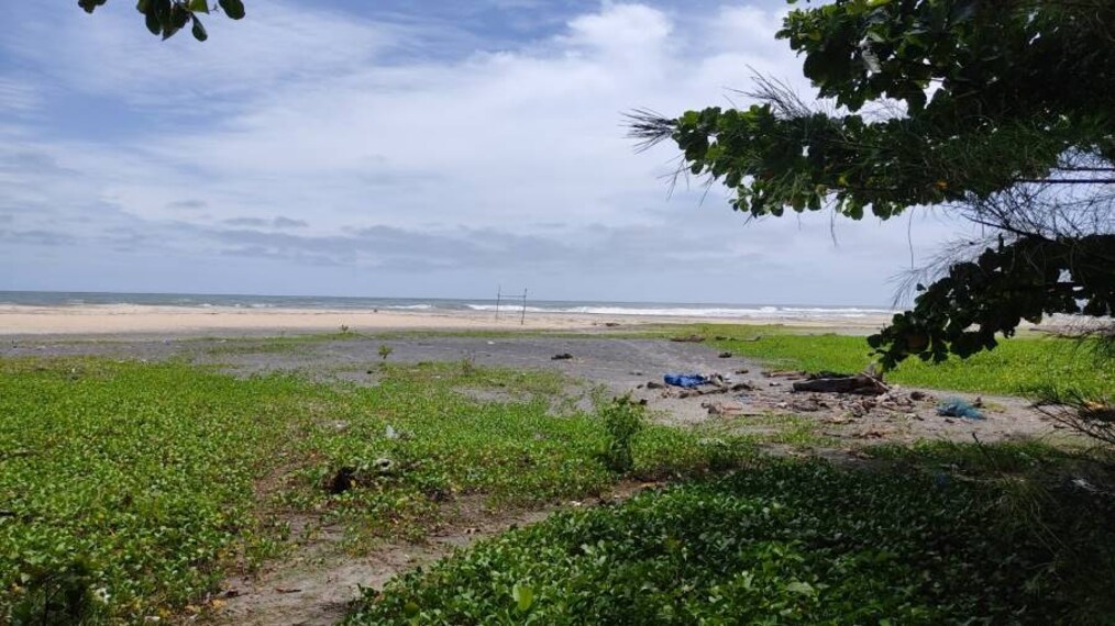 Alleppey_Thottappally_Beach_7