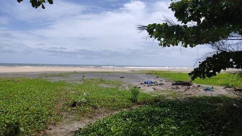 Thottappally Beach