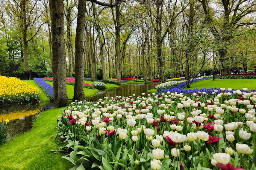 Amsterdam_Garden_of_Europe_1