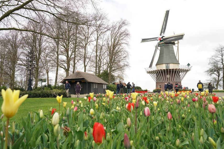 Amsterdam_Garden_of_Europe_4