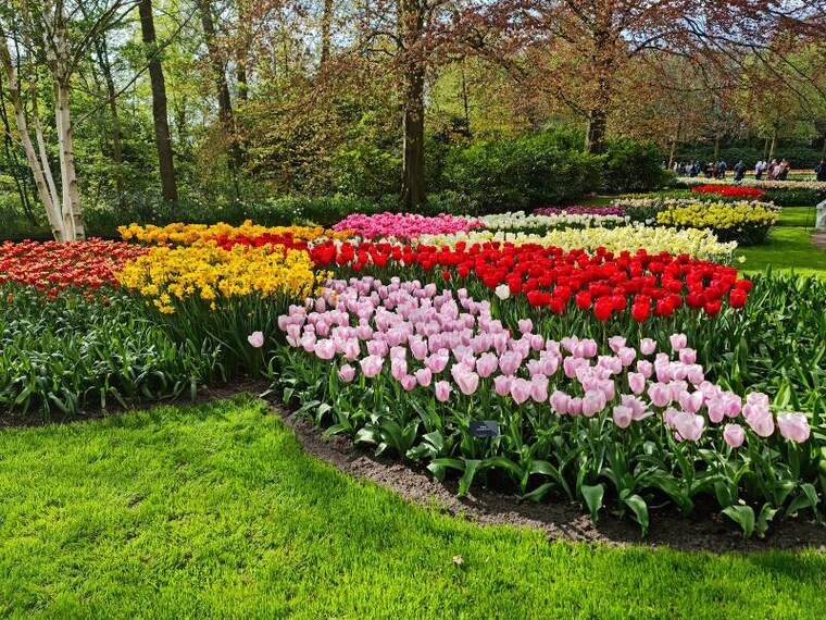 Amsterdam_Garden_of_Europe_8