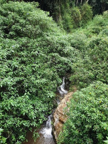 Coonoor_Hidden_Valley_3