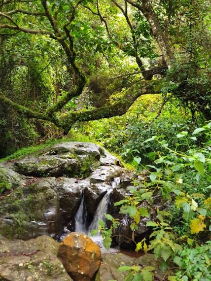 Coonoor_Hidden_Valley_8