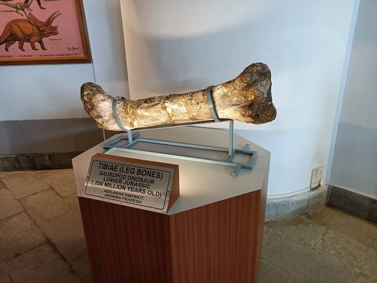 Hyderabad_B.M._Birla_Planetarium_and_Science_&_Technological_Museum_7