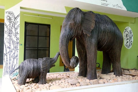 Mangalavanam Bird Sanctuary