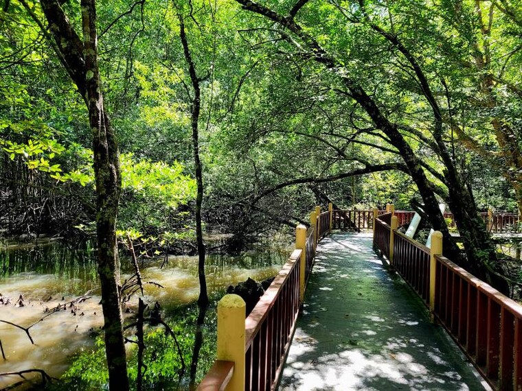 Langkawi_Klim_Geoforest_Park_9
