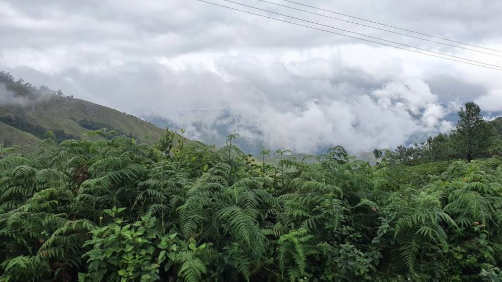 Palakkad_Attapadi_Reserve_Forest_Palakkad_3