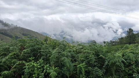 Attapadi Reserve Forest