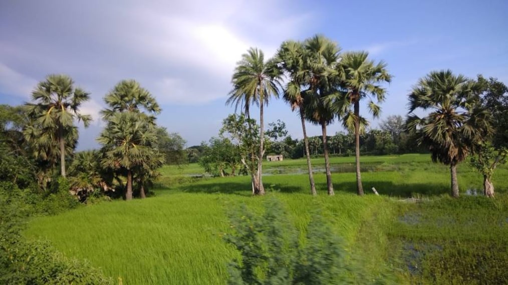 Sunderbans_Ghoramara_Island_7