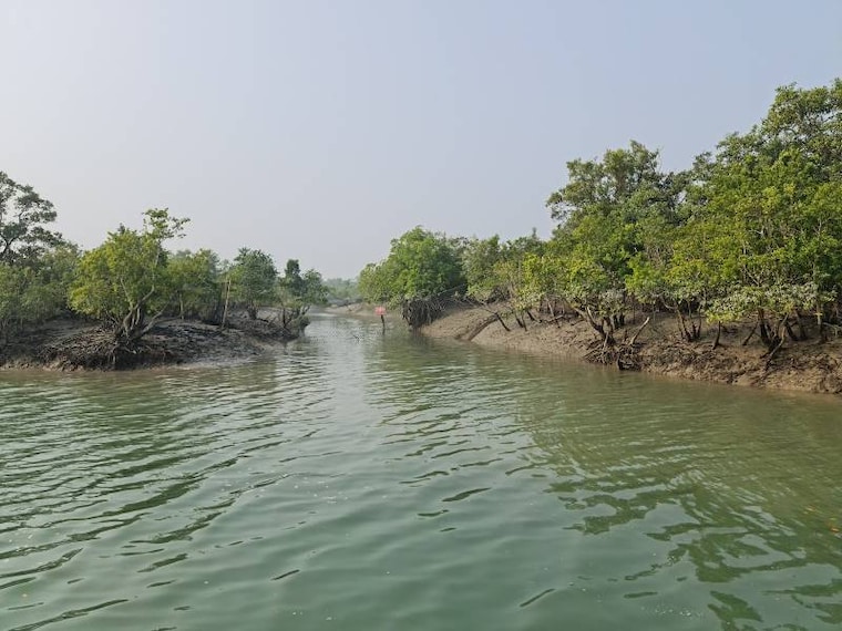 Sunderbans_Kanak_Island_1