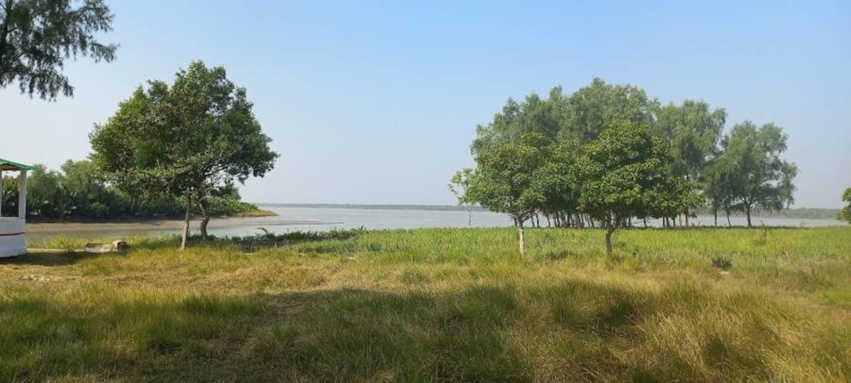 Sunderbans_Mangrove_Forest_1