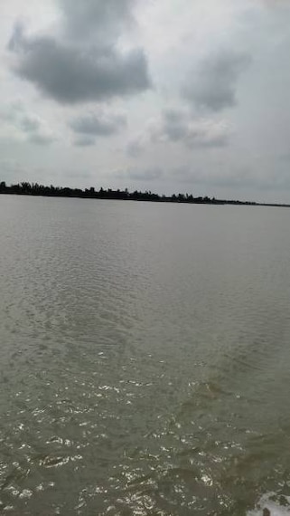 Sunderbans_Marichjhanpi_3