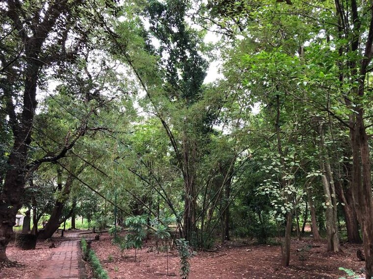 Thrissur_Heritage_Garden_7
