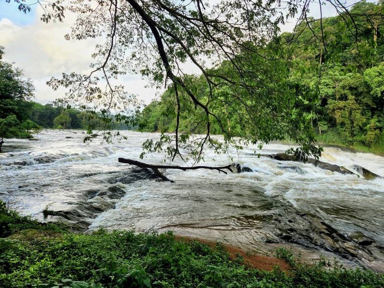 Thrissur_Vazhachal_Falls_2