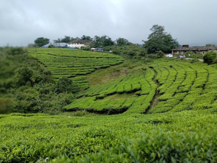 Vagamon_Barren_Hills_2