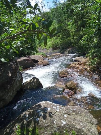 Vagamon_Vagamon_Falls_6