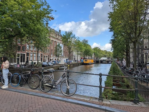Nine Streets