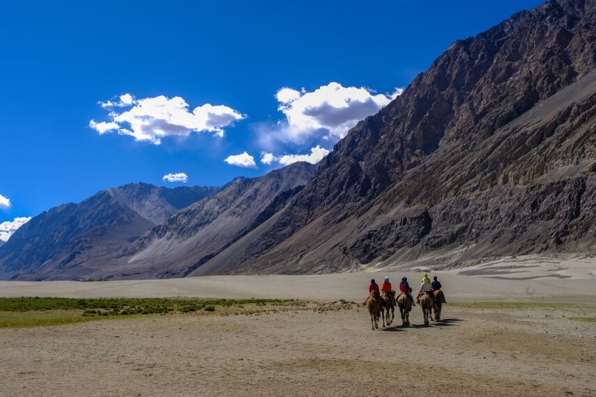 bactrian-camel-safari-nubra-valley-2