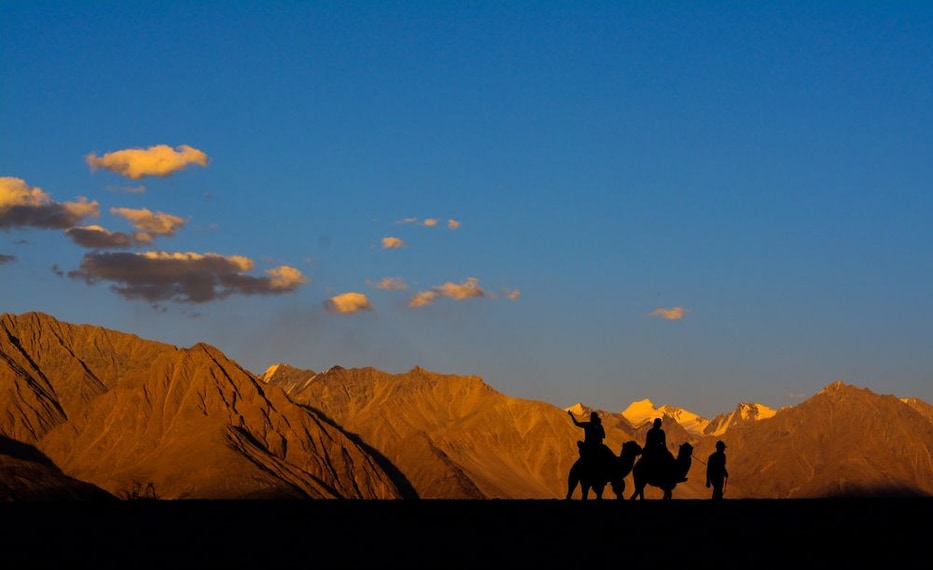 bactrian-camel-safari-nubra-valley-3