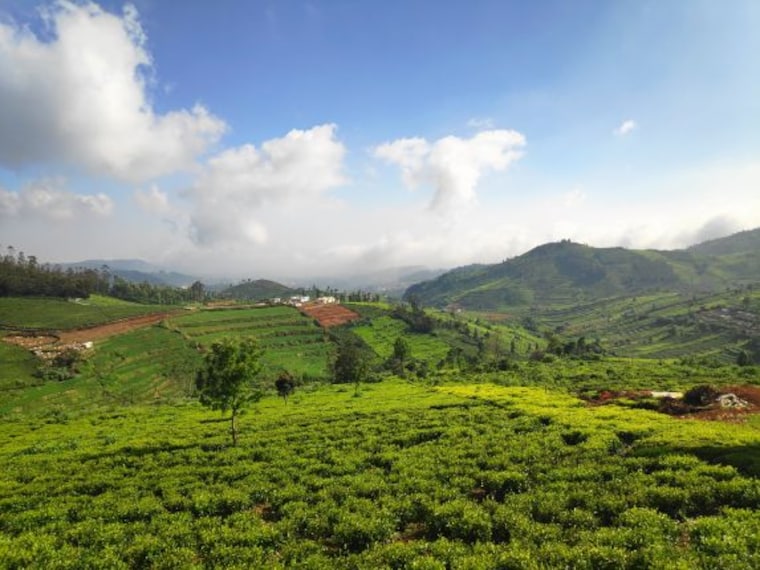 ooty_doddabetta_peak_4