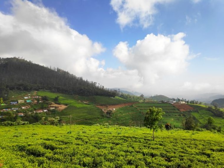 ooty_doddabetta_peak_5