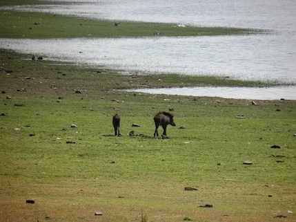Madhav National Park