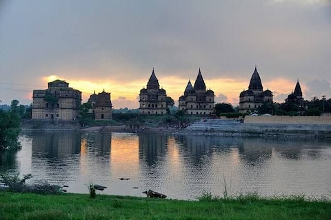 Go Bird Watching at Wildlife Sanctuary Orchha