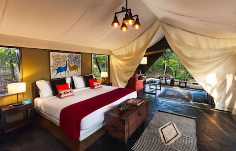 Reni Pani Jungle Resort