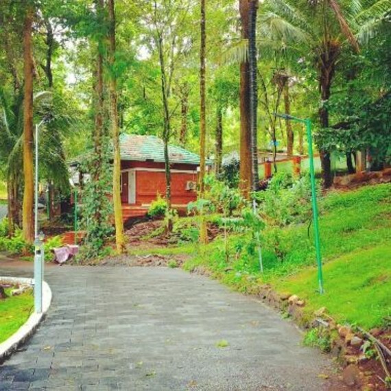 palakkad_tree_top_resorts
