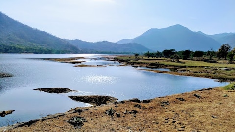 Jessore Sloth Bear Sanctuary