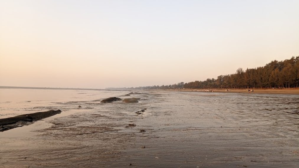 Dahanu_Beach_1