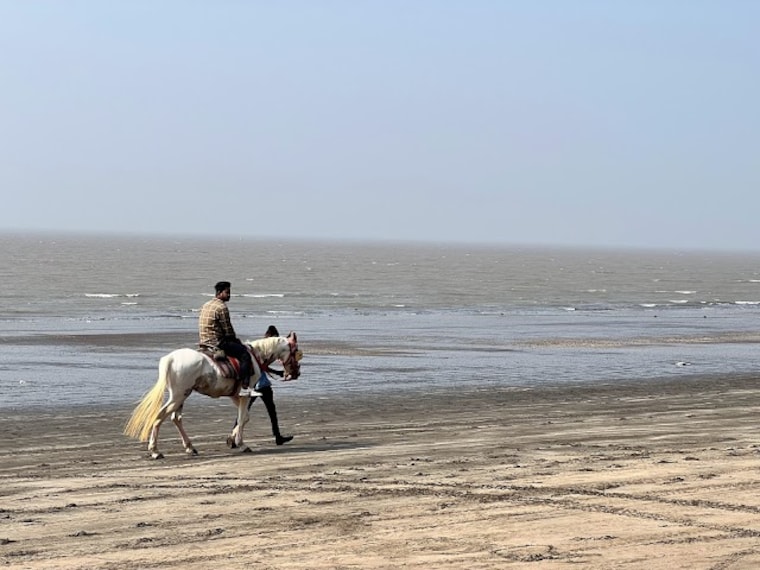 Dahanu_Beach_3