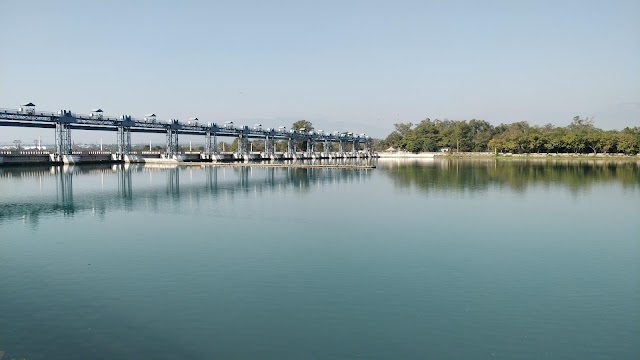 Assan_Barrage_Bird_Sanctuary_3