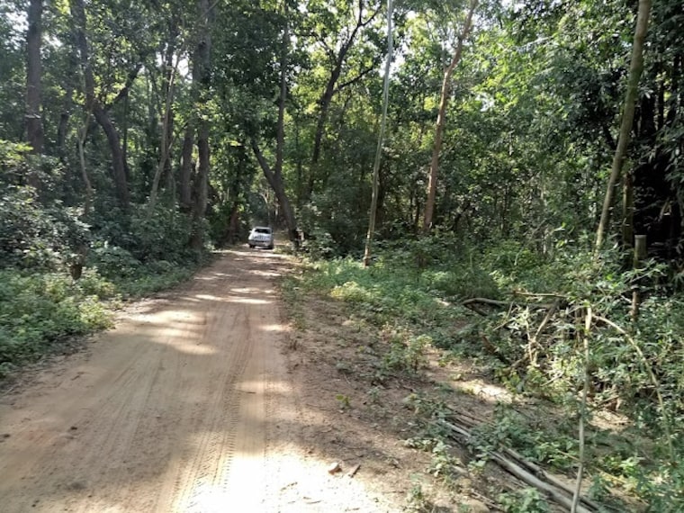 Simbalbara_National_Park_4