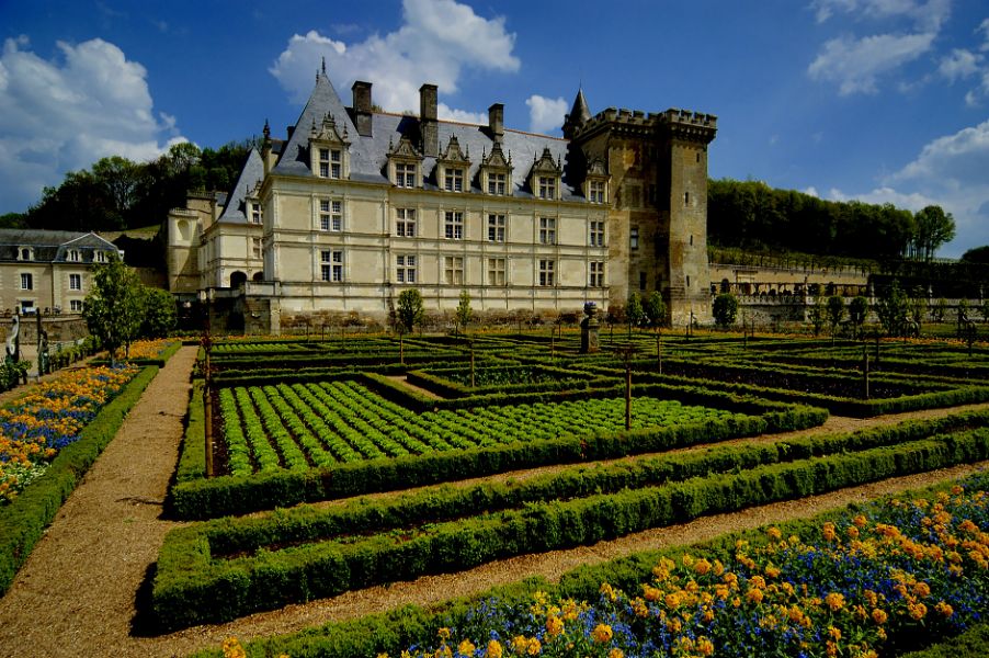 Loire_Valley_Wine_Tour_4