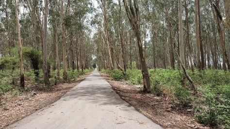 parwanoo_bir_shikargah_wildlife_sanctuary