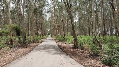 Bir Shikargah Wildlife Sanctuary