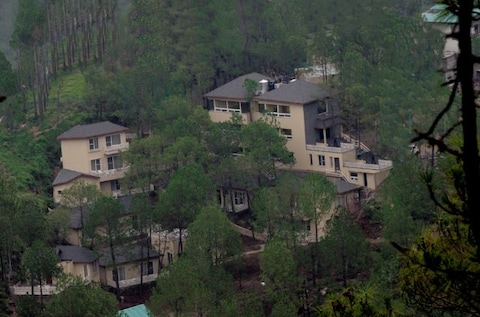 Jungle Lodge Resort