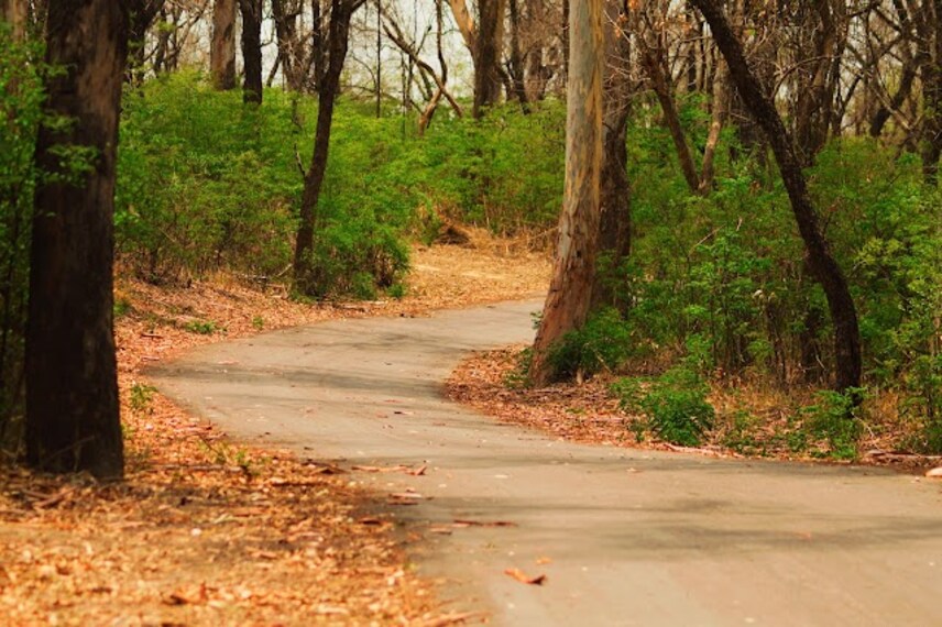 Bir_Moti_Bagh_Wildlife_Sanctuary_2