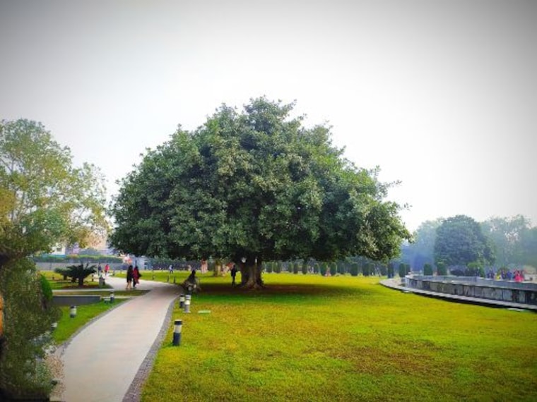 patna_buddha_smriti_park