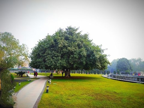 Buddha Smriti Park