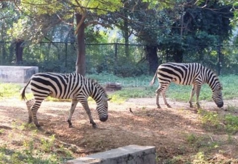 Sanjay Gandhi Botanical Garden Patna