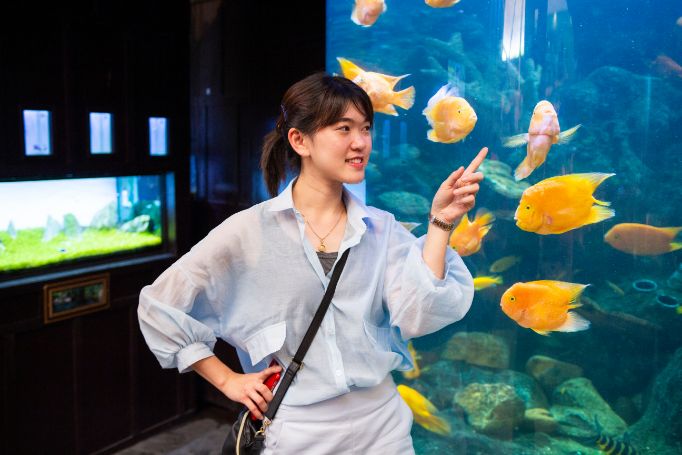 Pattaya Underwater World Pattaya Landscape Image