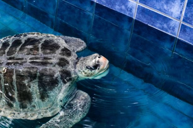 phuket_phuket_aquarium_4