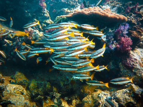 phuket_phuket_aquarium_6